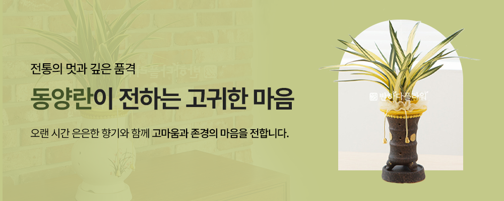 동양란 서브배너<br>