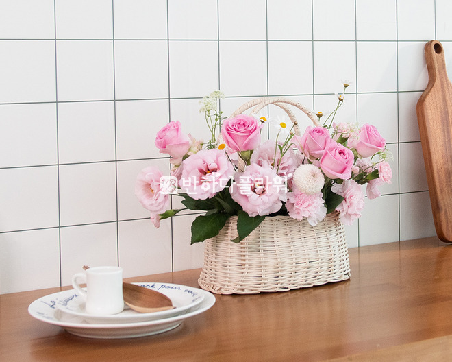 달콤한 컬러 세레나데