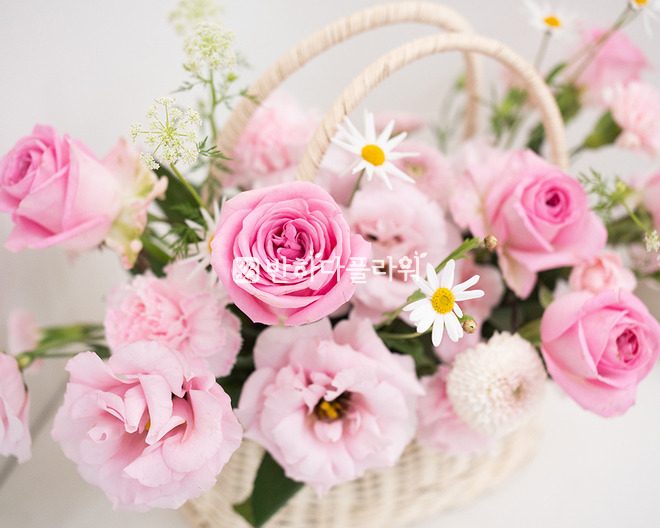 달콤한 컬러 세레나데