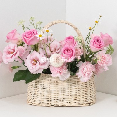 달콤한 컬러 세레나데