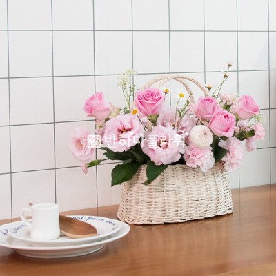 달콤한 컬러 세레나데