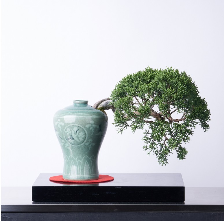 진백 청자 운학문 매병(소) (도나랑)