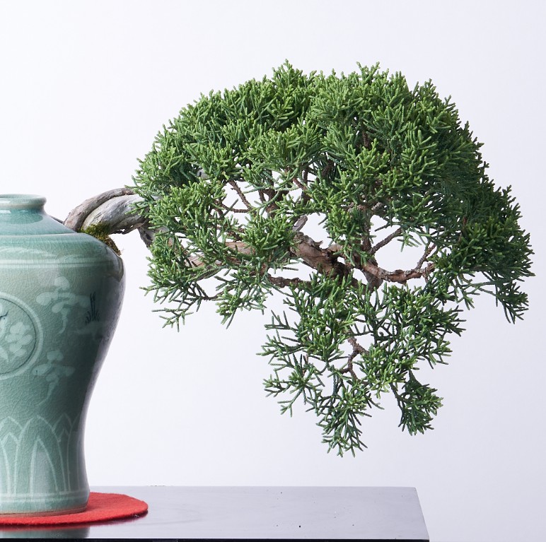 진백 청자 운학문 매병(소) (도나랑)