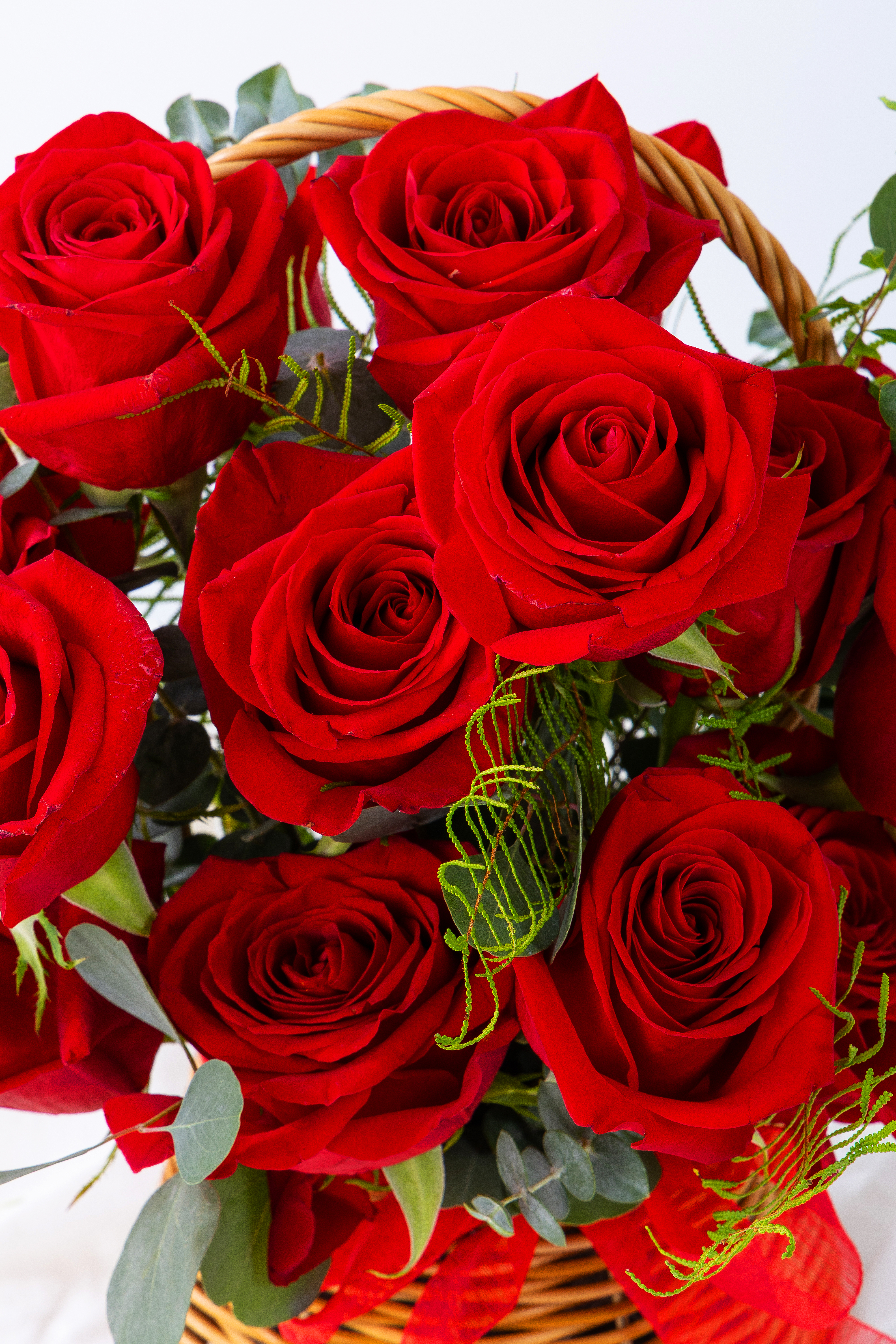 레드애프터글로우