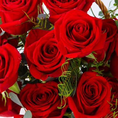 레드애프터글로우