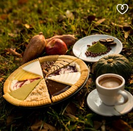 켈리스10종테스트