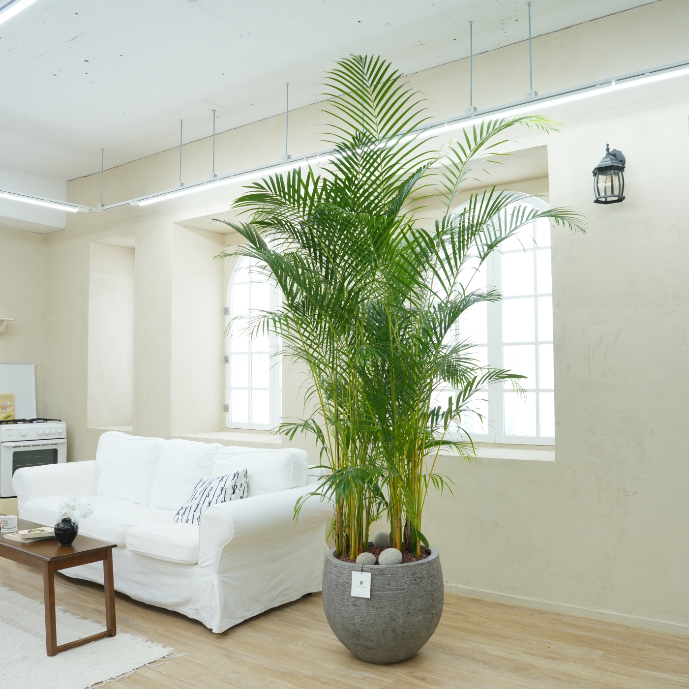 안나데코대품화기