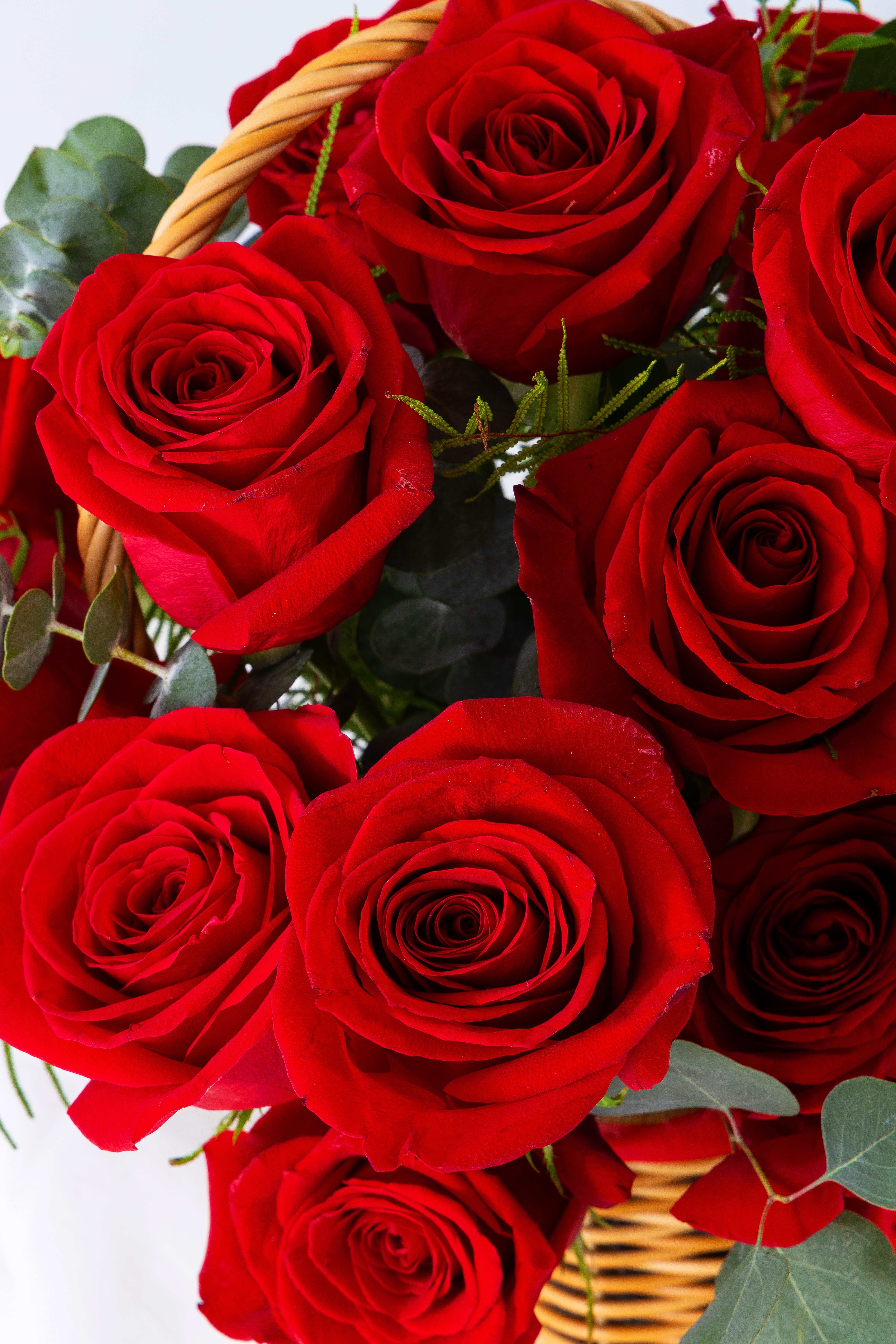 샤넬코코마드모아젤 50ml 과 꽃바구니