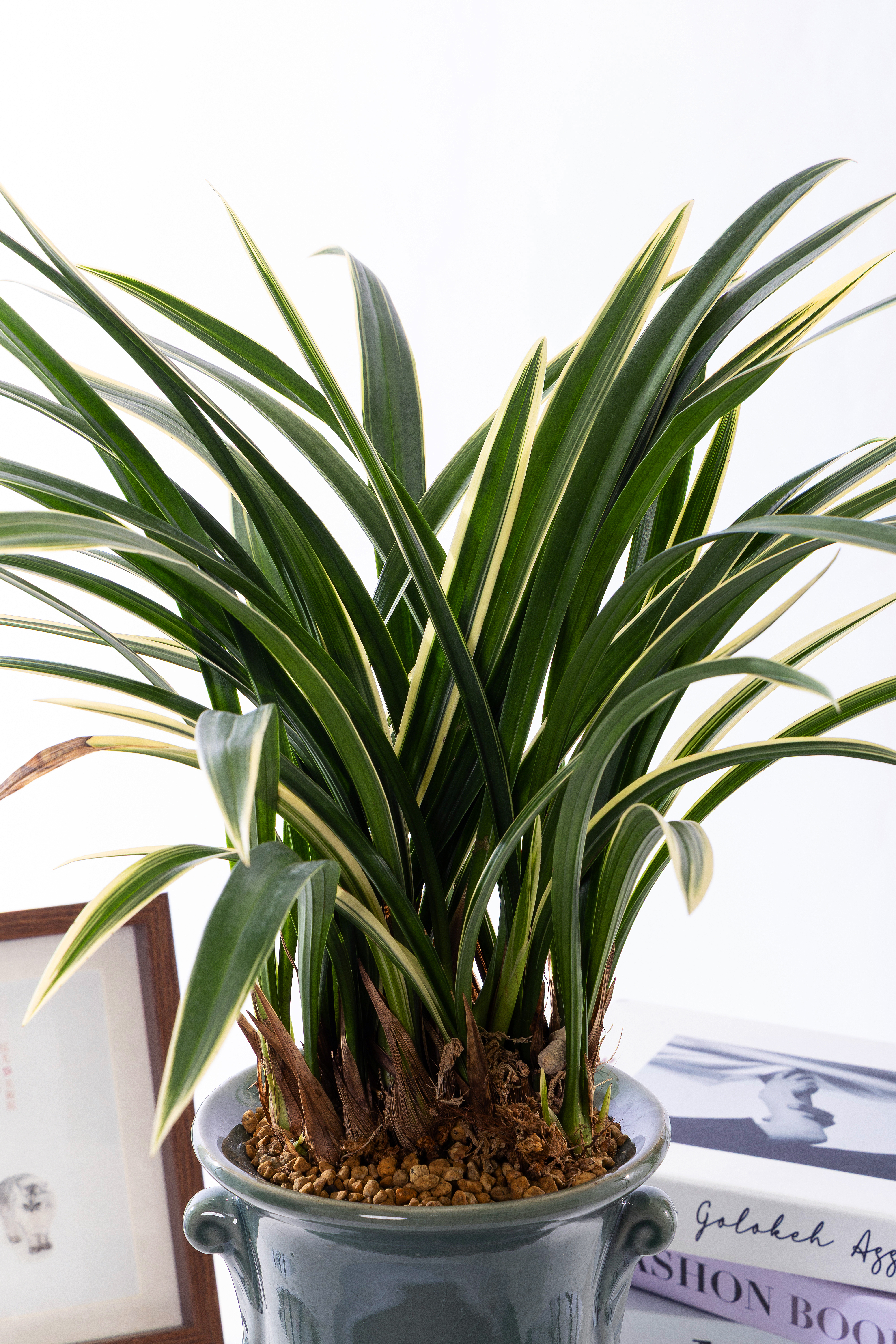 태평양 청자투각분