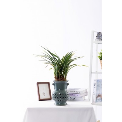 태평양 청자투각분