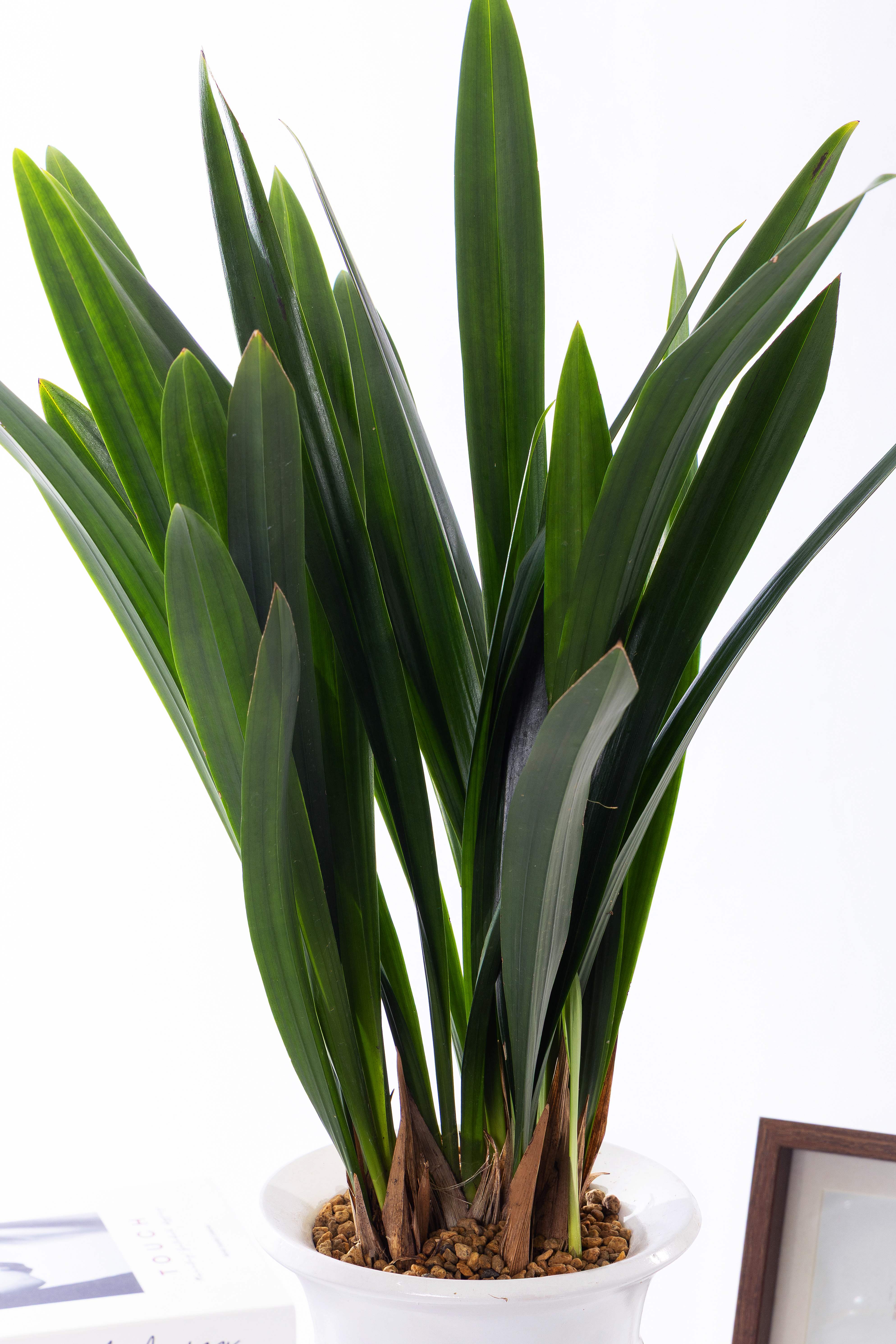 산천보세 일반형