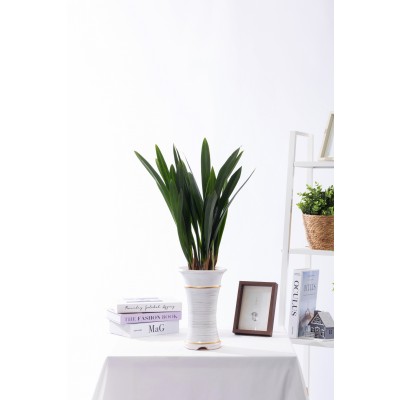 산천보세 일반형