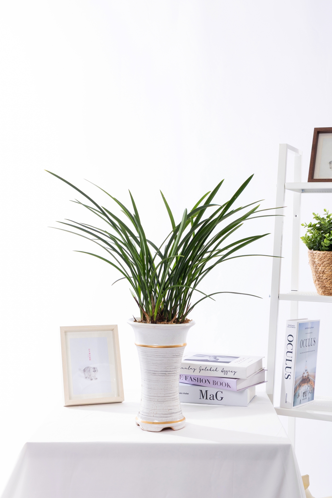 철골소심 일반형