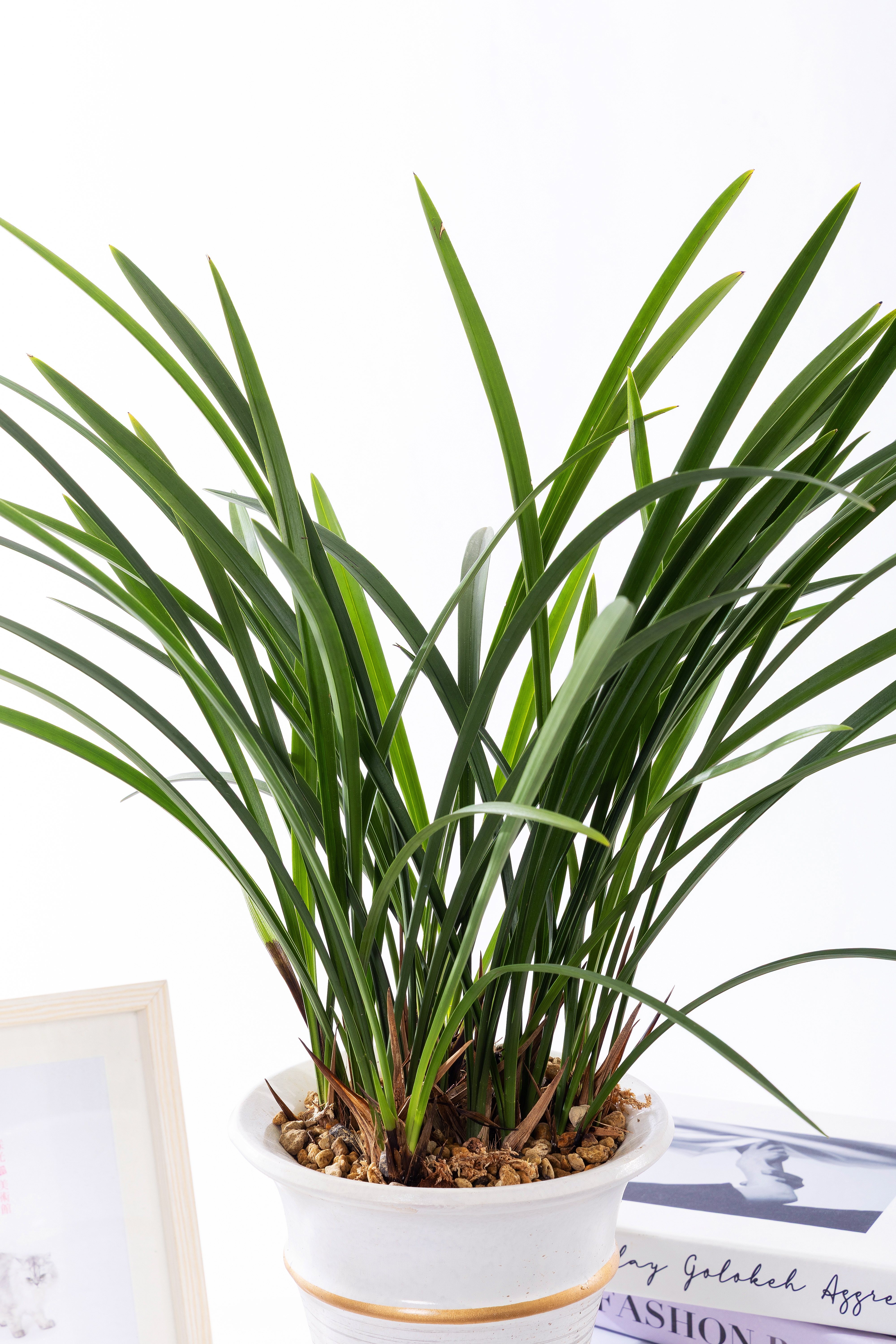 철골소심 일반형