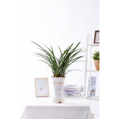 철골소심 일반형