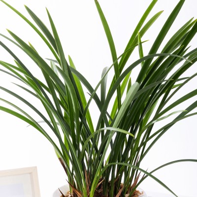 철골소심 일반형