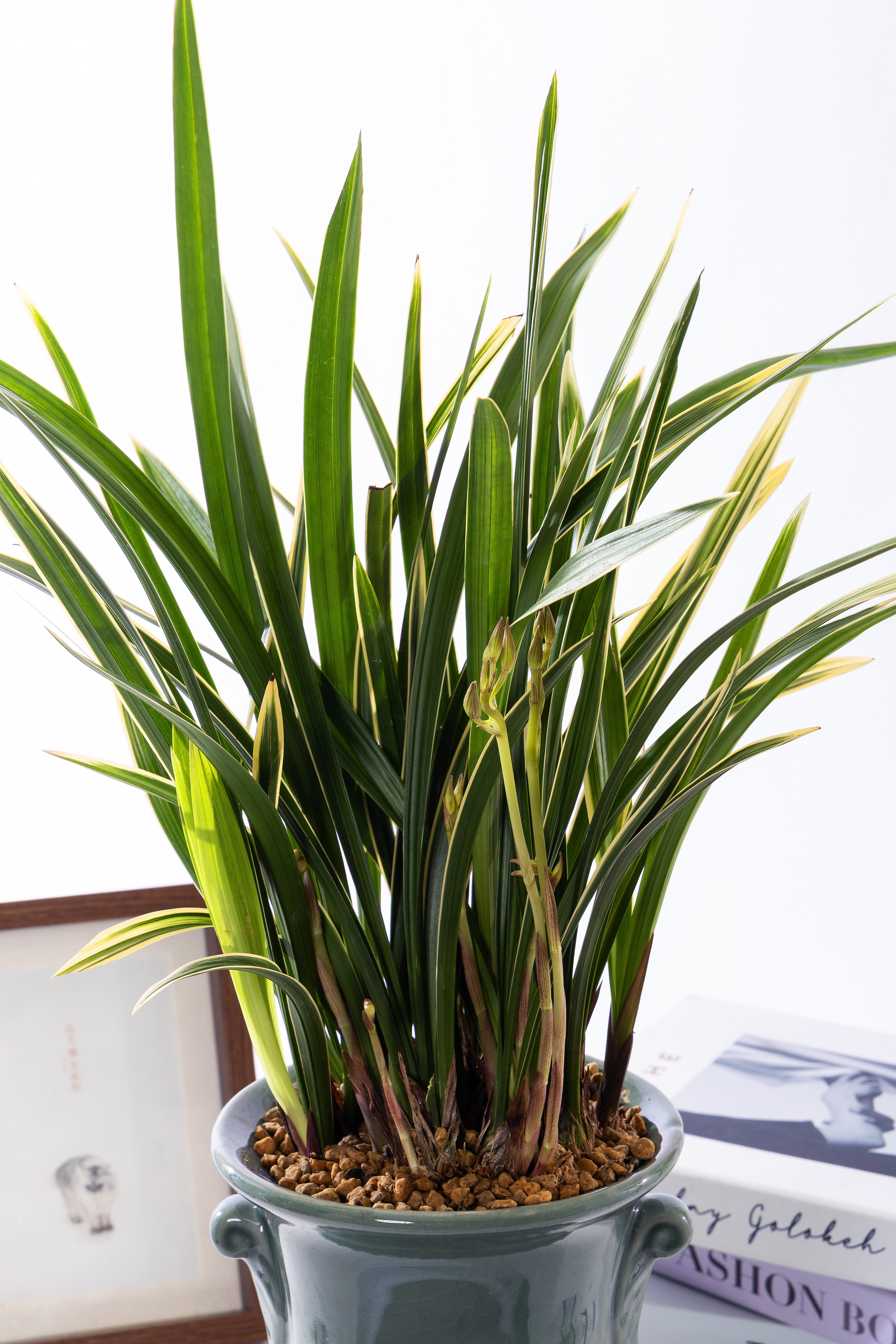 황룡관 청자투각