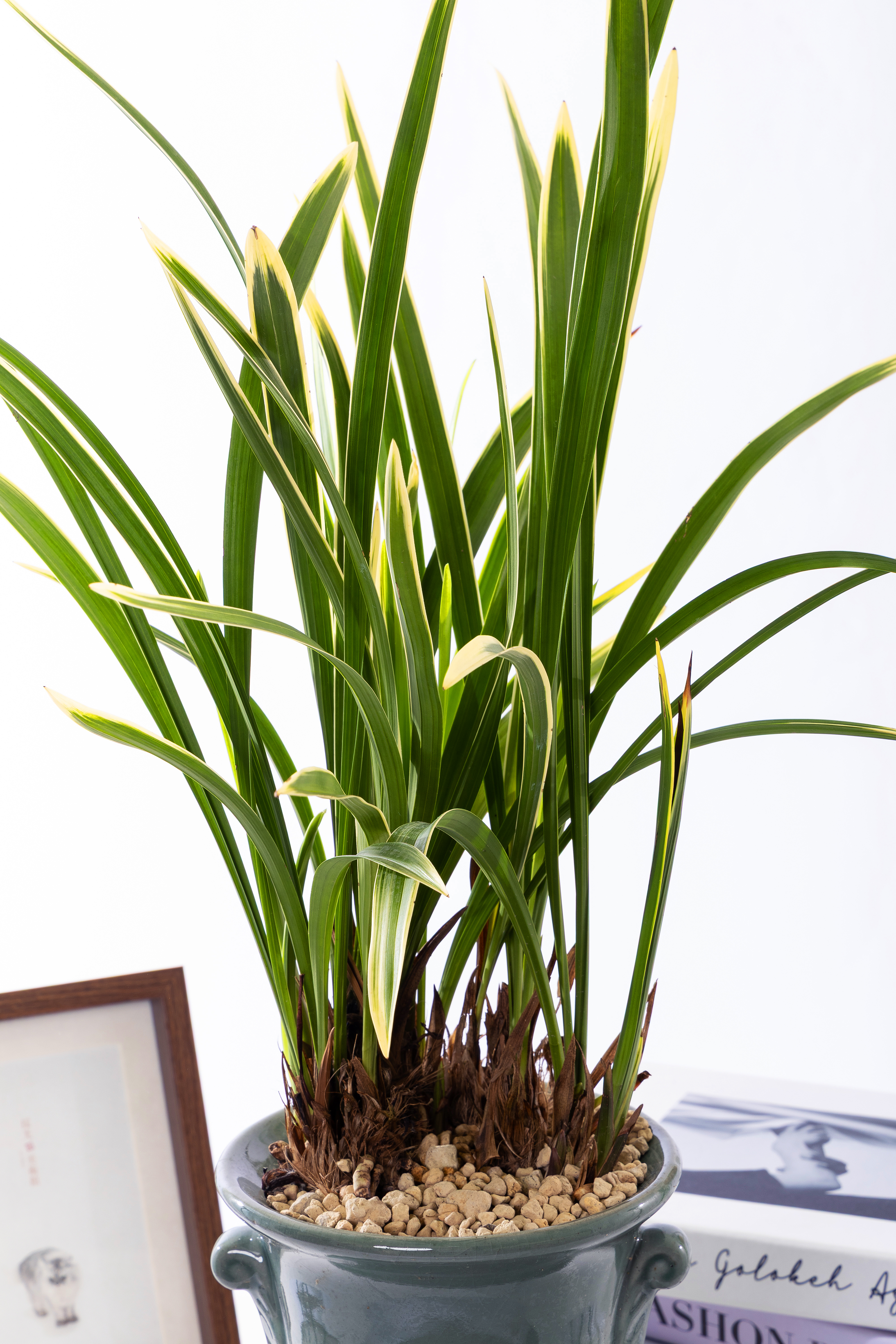 금기 청자투각분