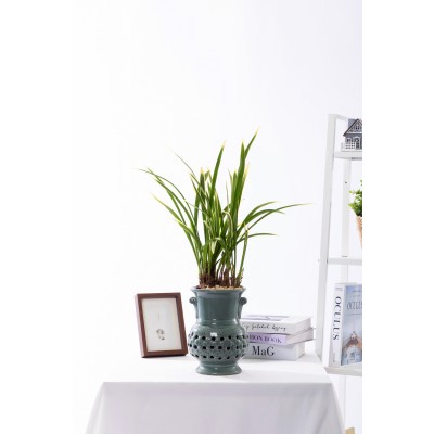 금기 청자투각분