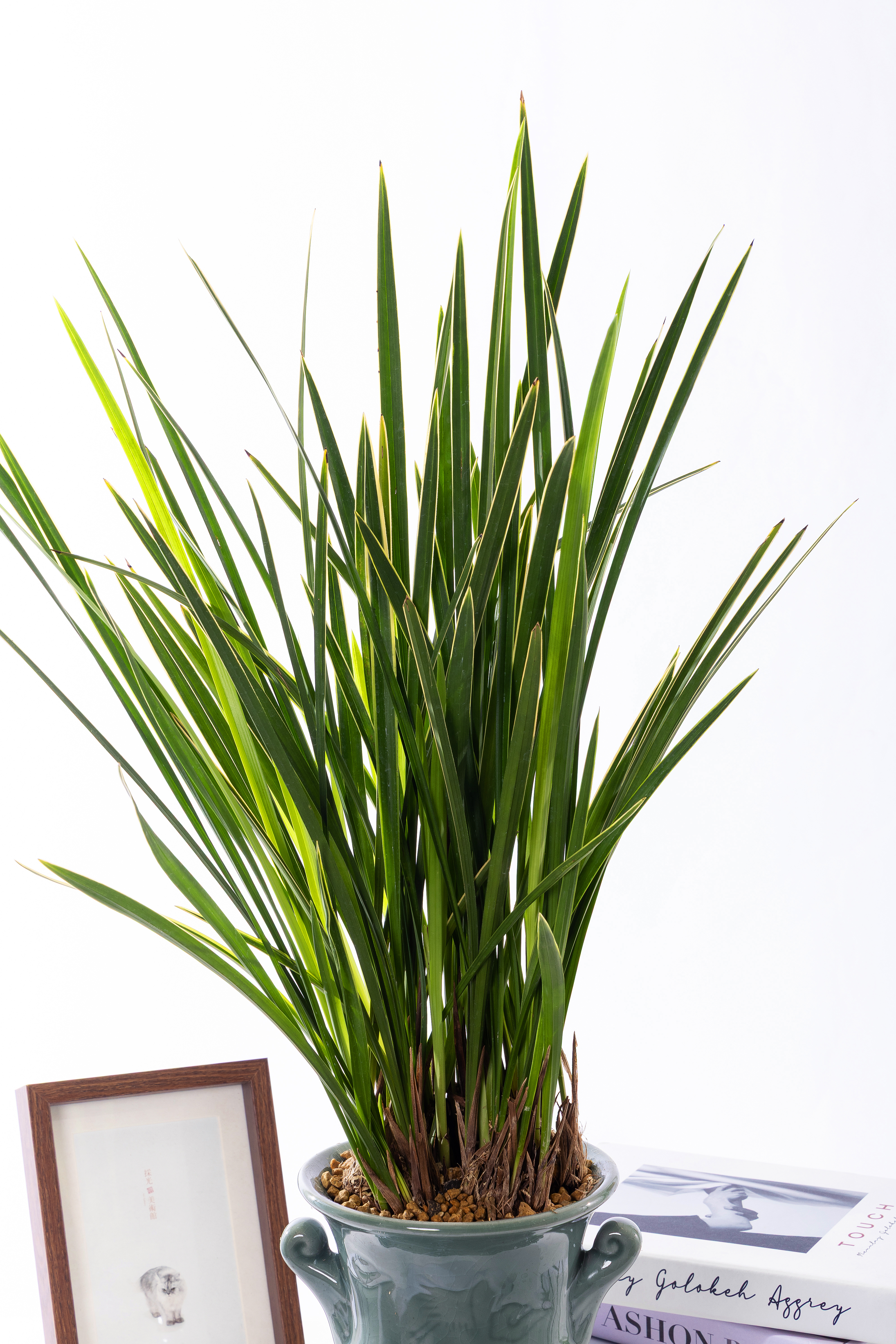 금침 청자투각분