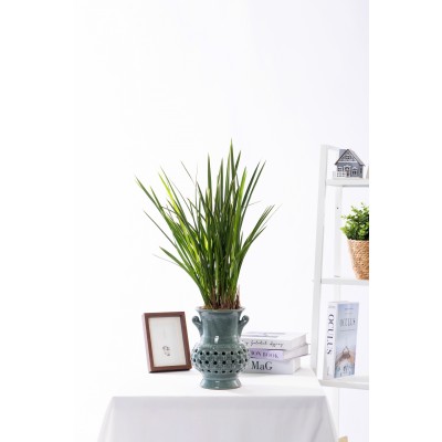 금침 청자투각분