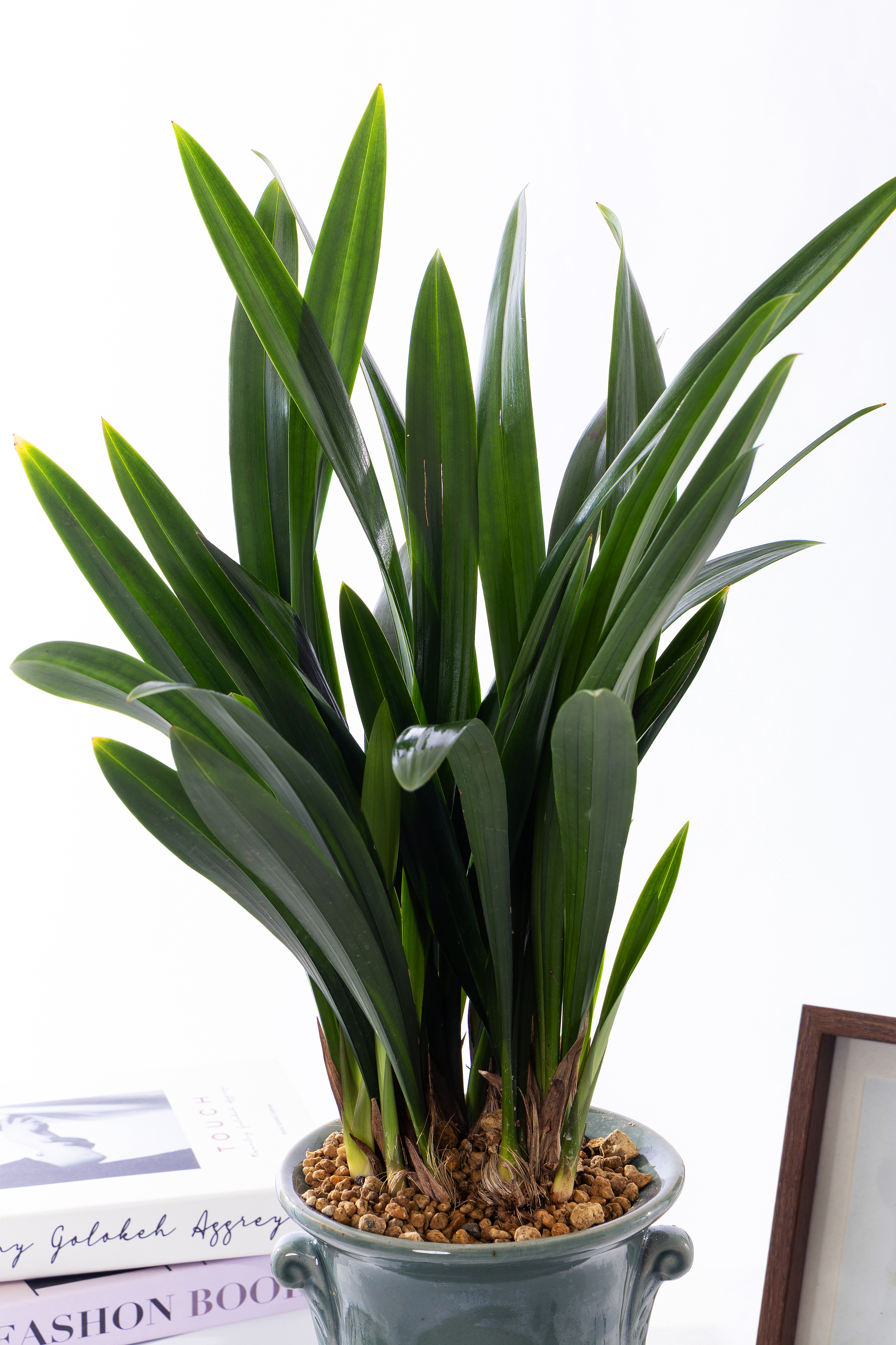 산천보세 청자투각분