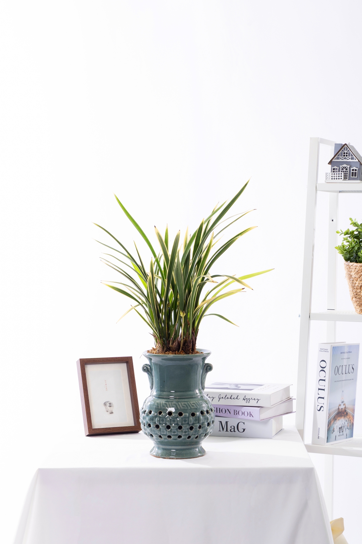 채홍 청자투각분