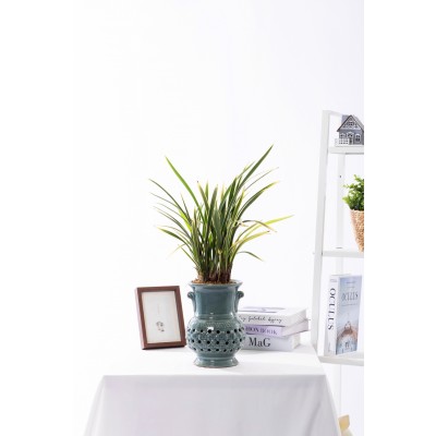 채홍 청자투각분