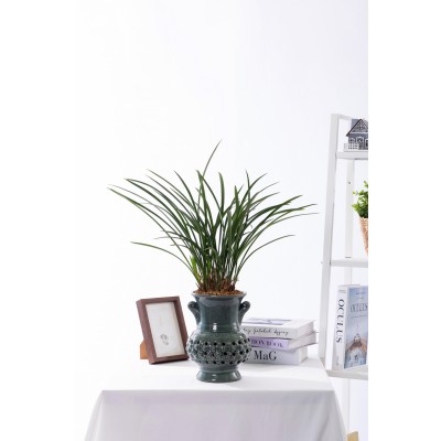 철골소심 청자투각분