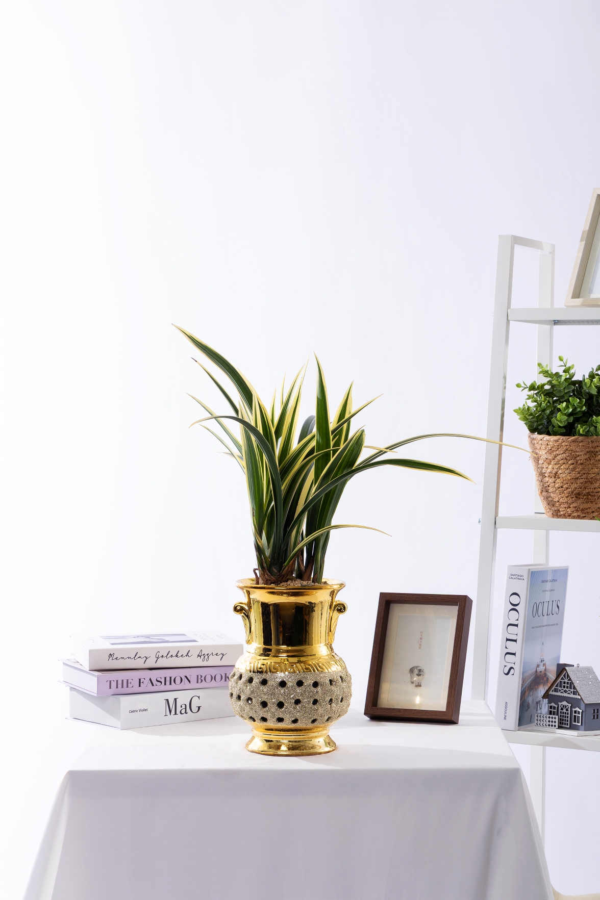 황금일향 금투각분