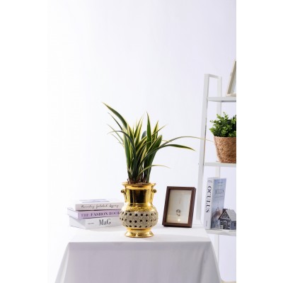 황금일향 금투각분