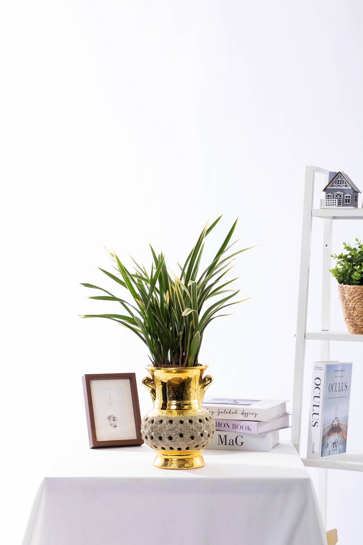 황룡관 금투각분