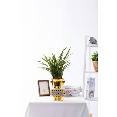 황룡관 금투각분