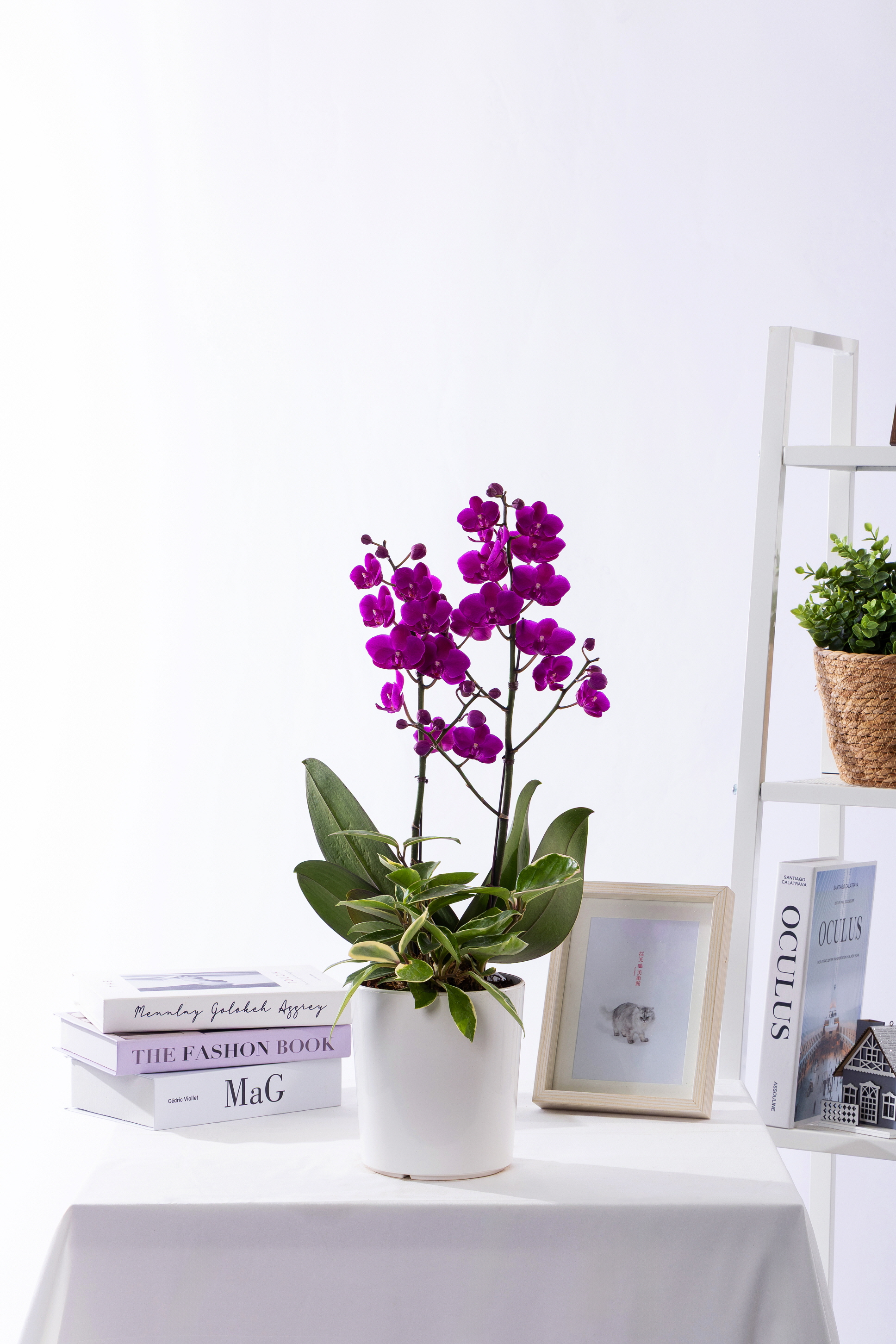 만천홍 테이블 (T_원형)