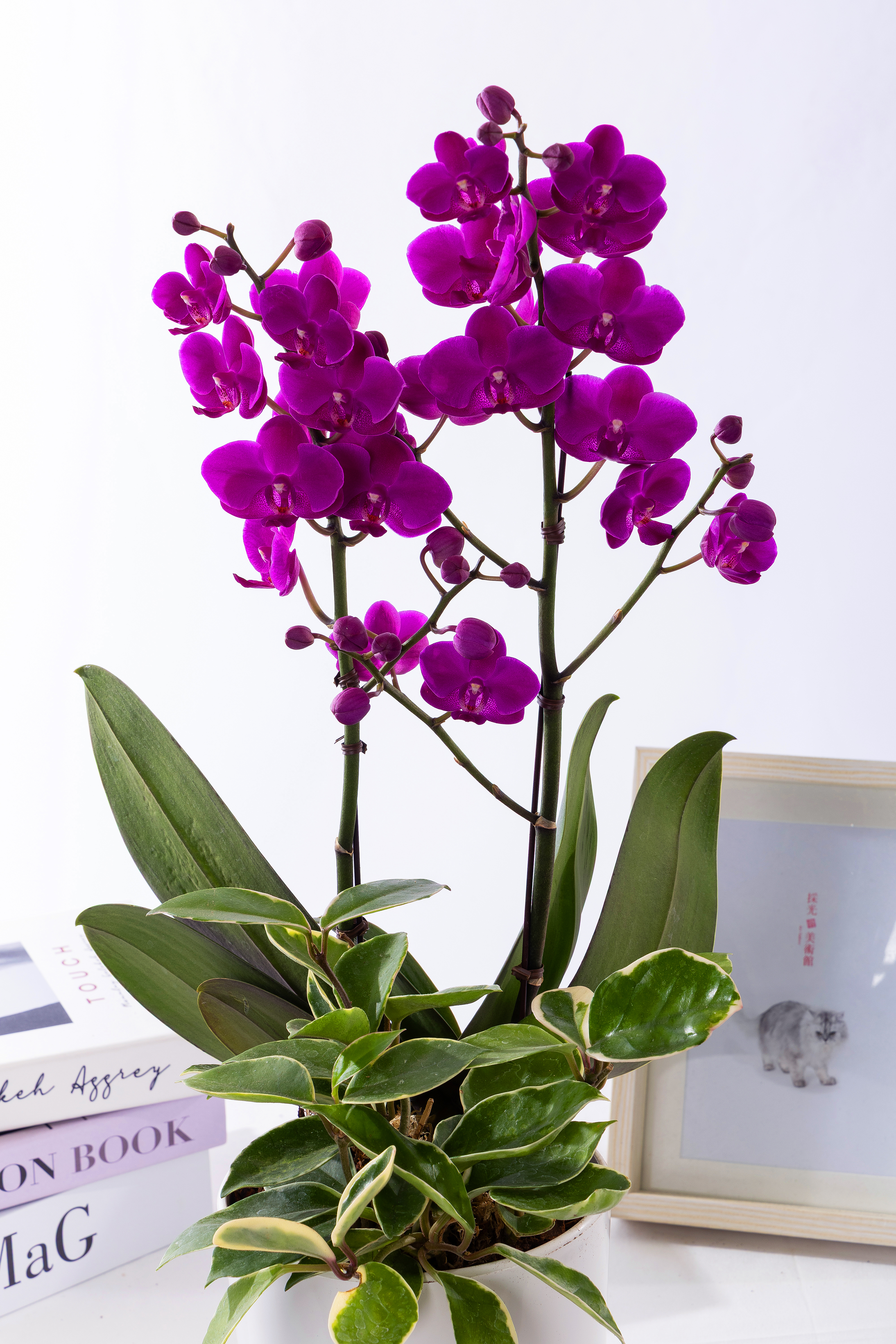 만천홍 테이블 (T_원형)