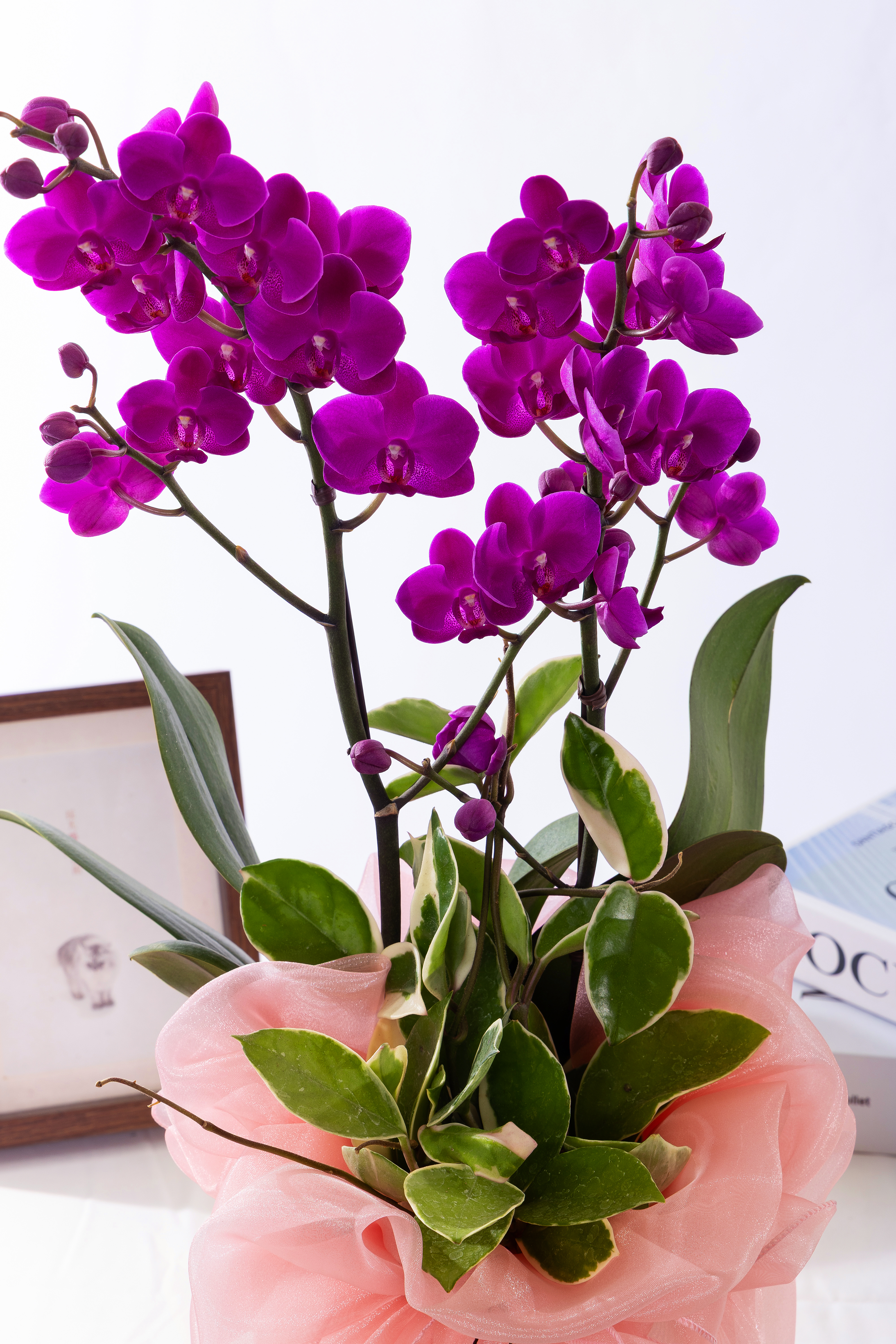 만천홍 테이블 보자기 No.1 (T_원형)