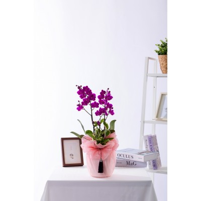 만천홍 테이블 보자기 No.1 (T_원형)