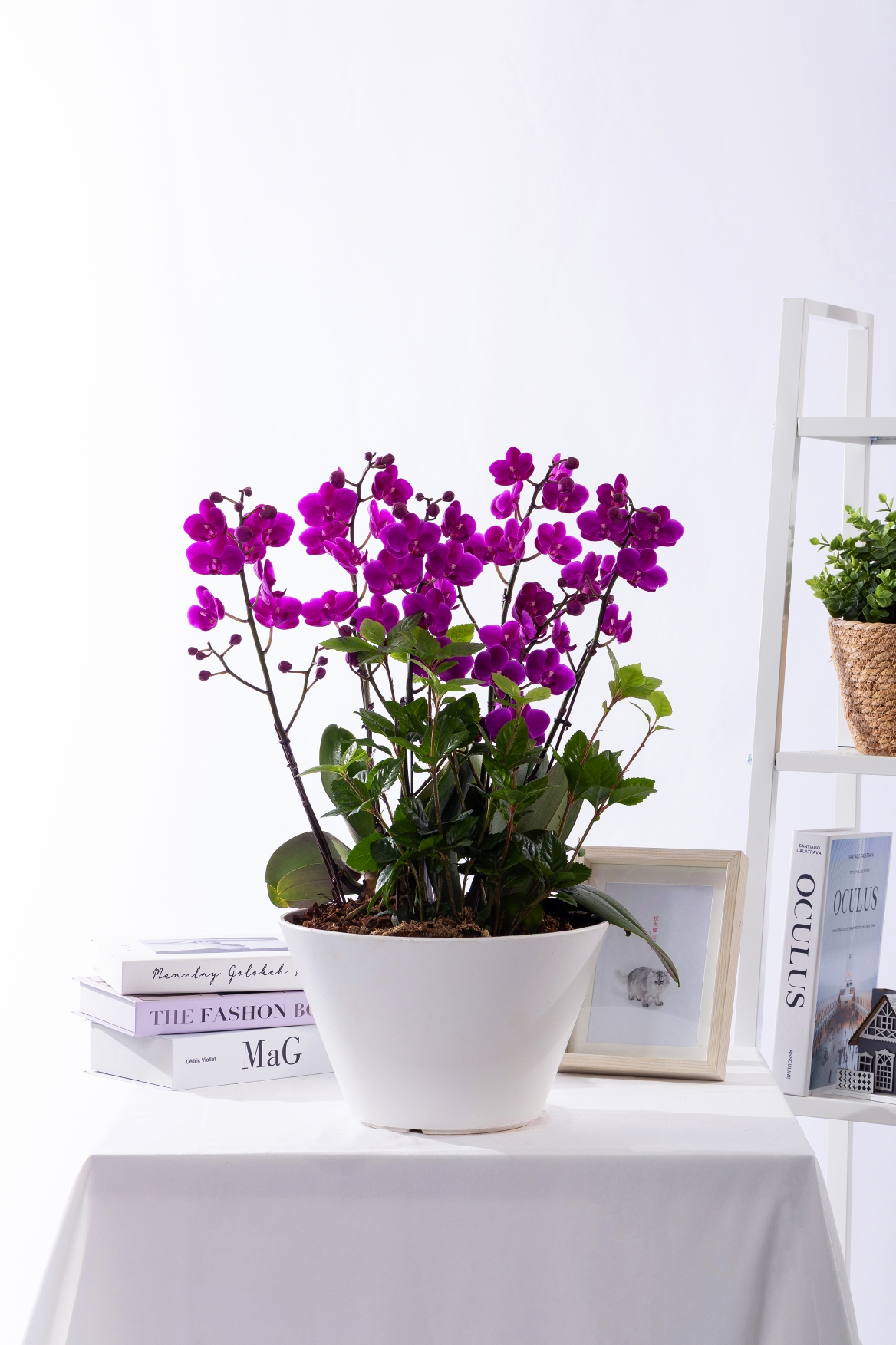 만천홍 그랜드 No.1 (GD_원형)