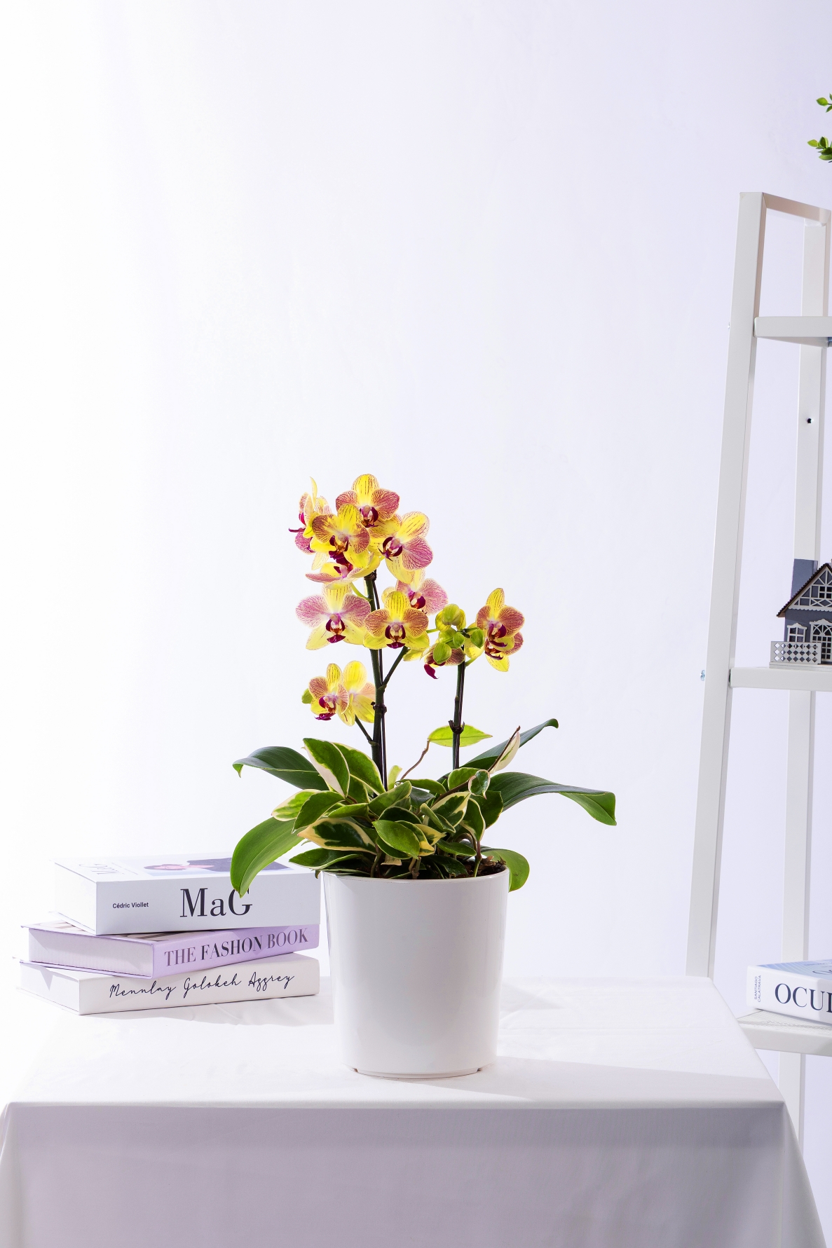 옐로우미니호접 테이블 No.1 (T_원형)