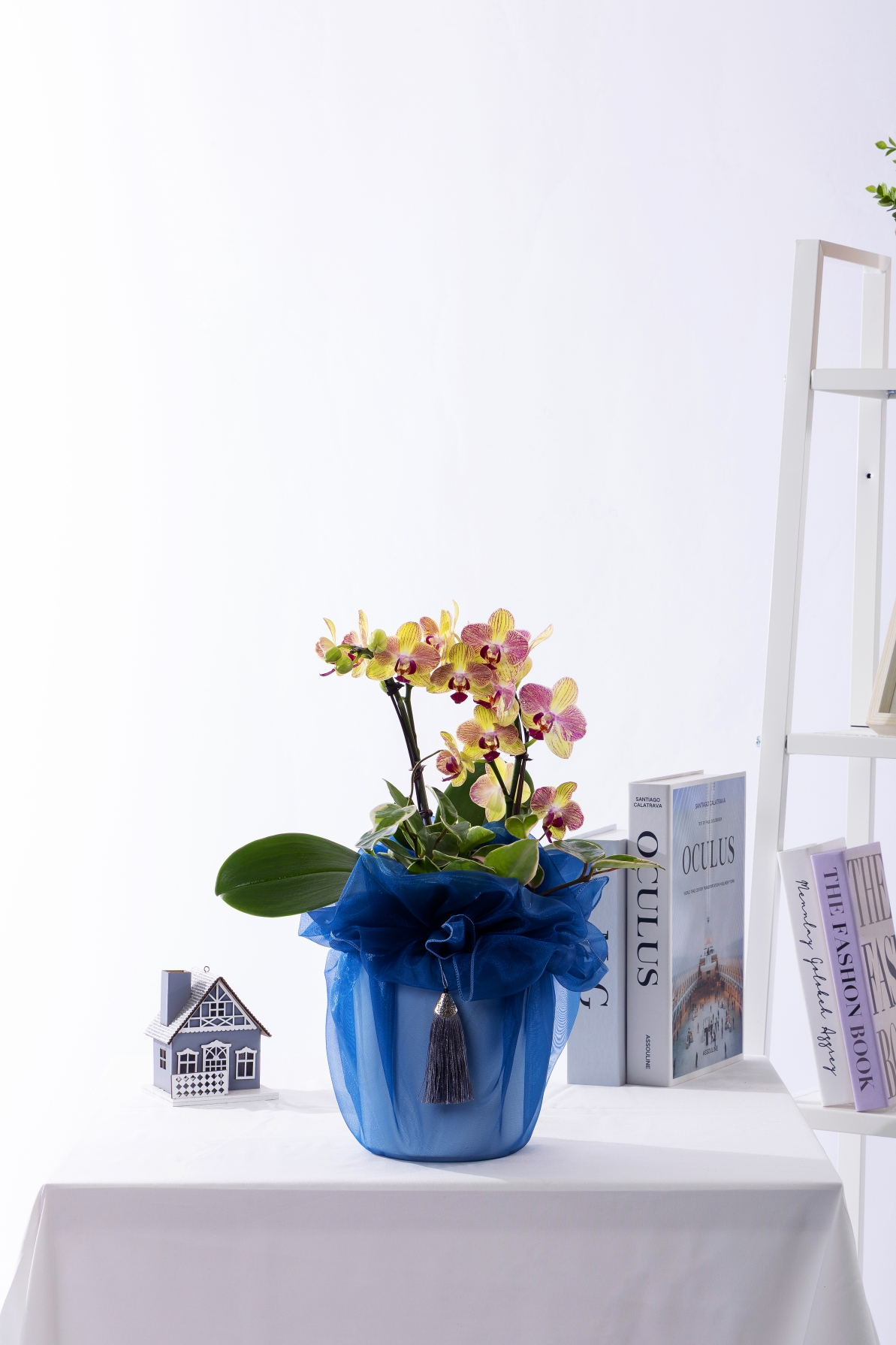 옐로우미니호접 No.2 (T_원형)