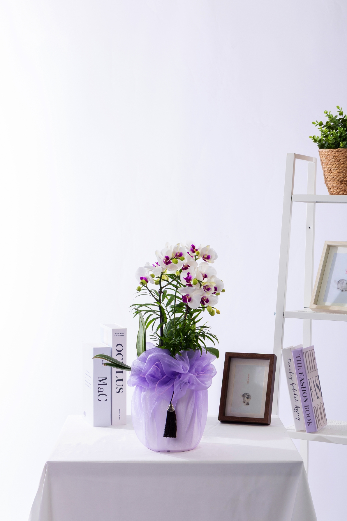 화이트미니호접 테이블 No.1 (T_원형)