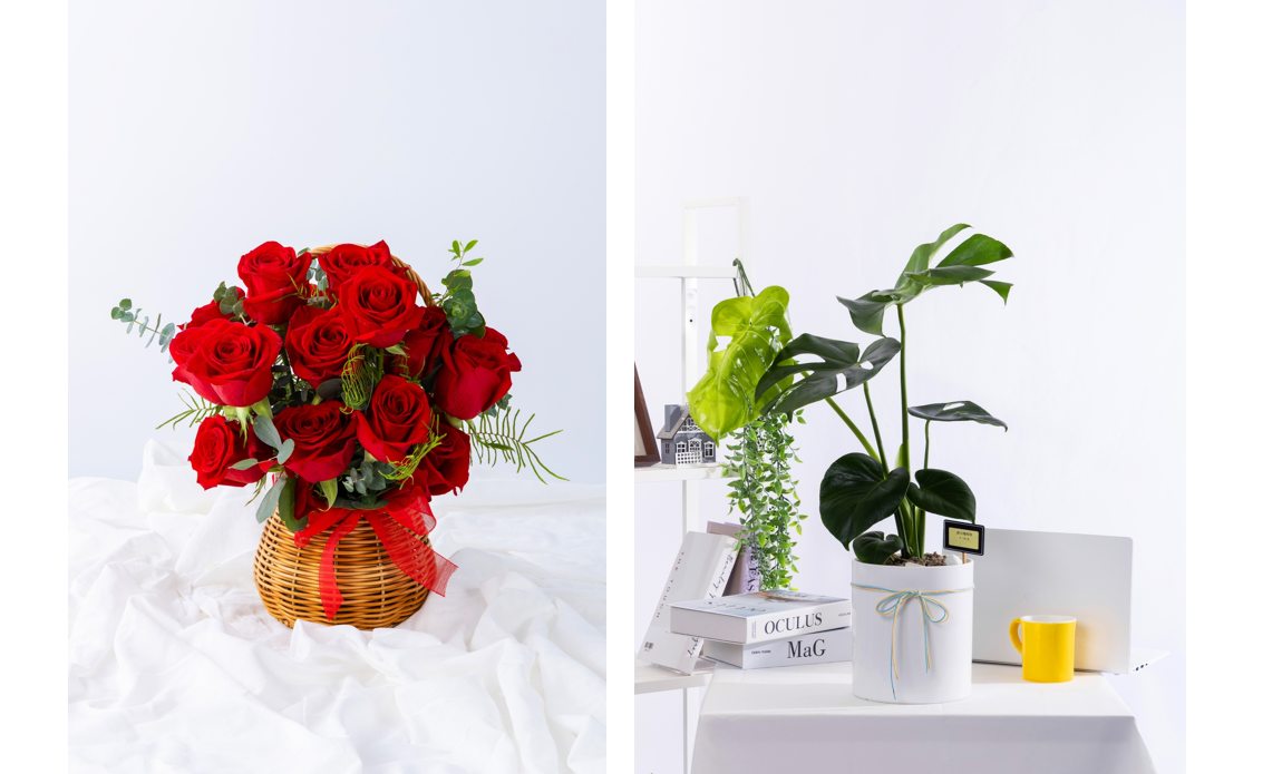 꽃관엽세트상품테스트