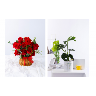 꽃관엽세트상품테스트