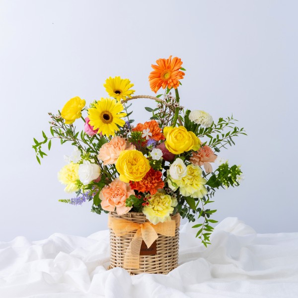 햇살같은하루와 오설록 제주 녹차 크레이프 케이크 세트