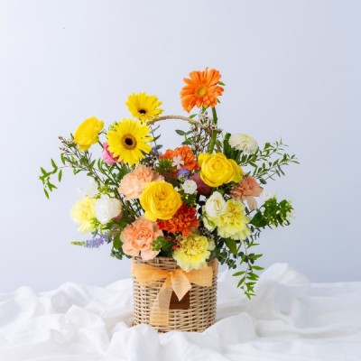 햇살같은하루와 오설록 제주 녹차 크레이프 케이크 세트